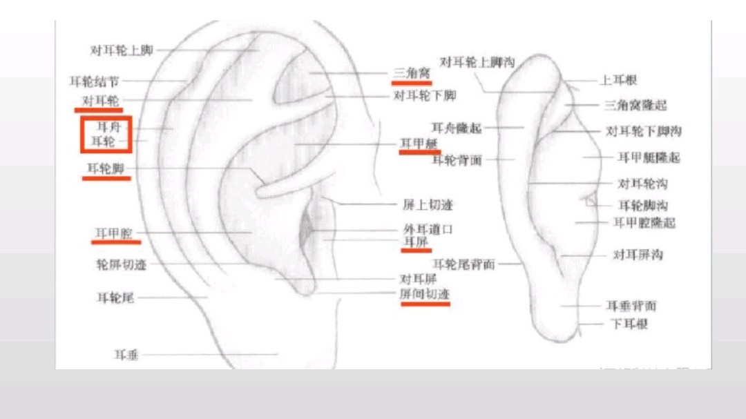 什么是外耳中耳畸形