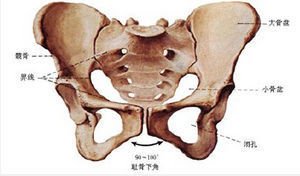 骶骨骨折