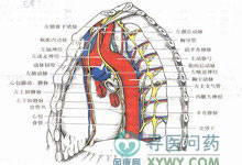 食管胃底静脉曲张及其破裂出血