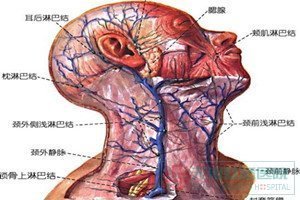 颈部软组织损伤