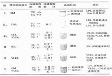 高脂蛋白血症Ⅰ型