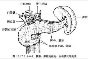 小儿脾大