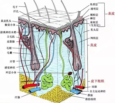 6401.webp.jpg