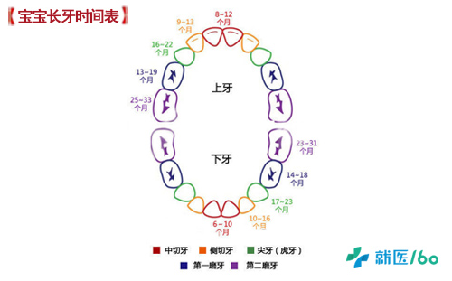 六岁儿童换牙顺序图图六岁儿童换牙顺序图