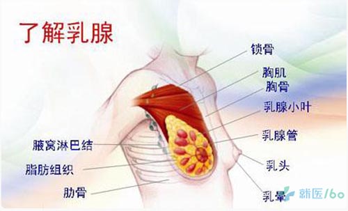 女性乳房变黑透露疾病信号