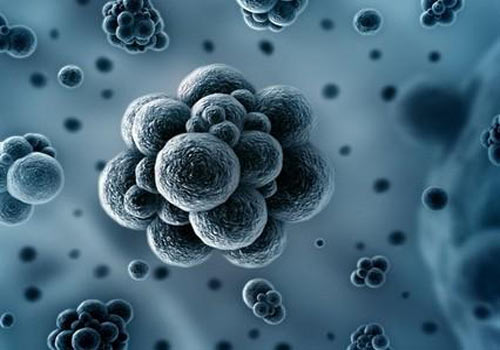 MERS与SARS有什么关系?该如何防治?_健康