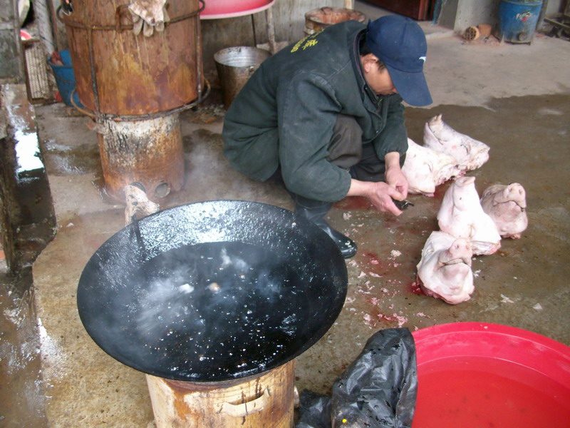 福建漳州肉食黑作坊,惊现工业松香_健康资讯_