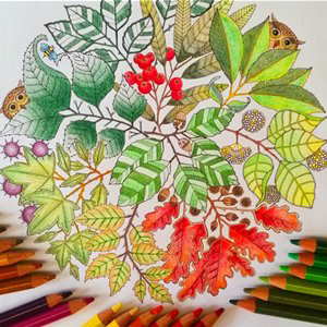 填色书《秘密花园》火了,据说有减压效果_健康资讯_就医160网_网上预约挂号统一平台