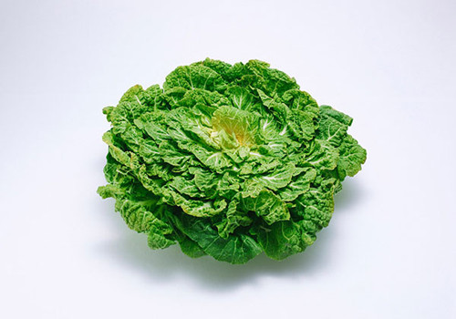 食物v食物不良6个因素力荐3种丰胸女生_a食物资特别名字乳房图片