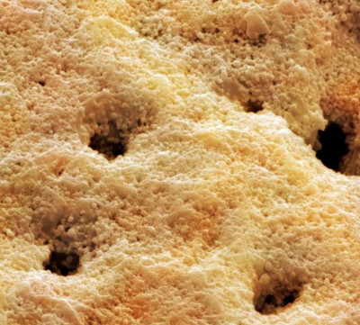 蛋壳有细菌,打开鸡蛋前不清洗会染病吗?