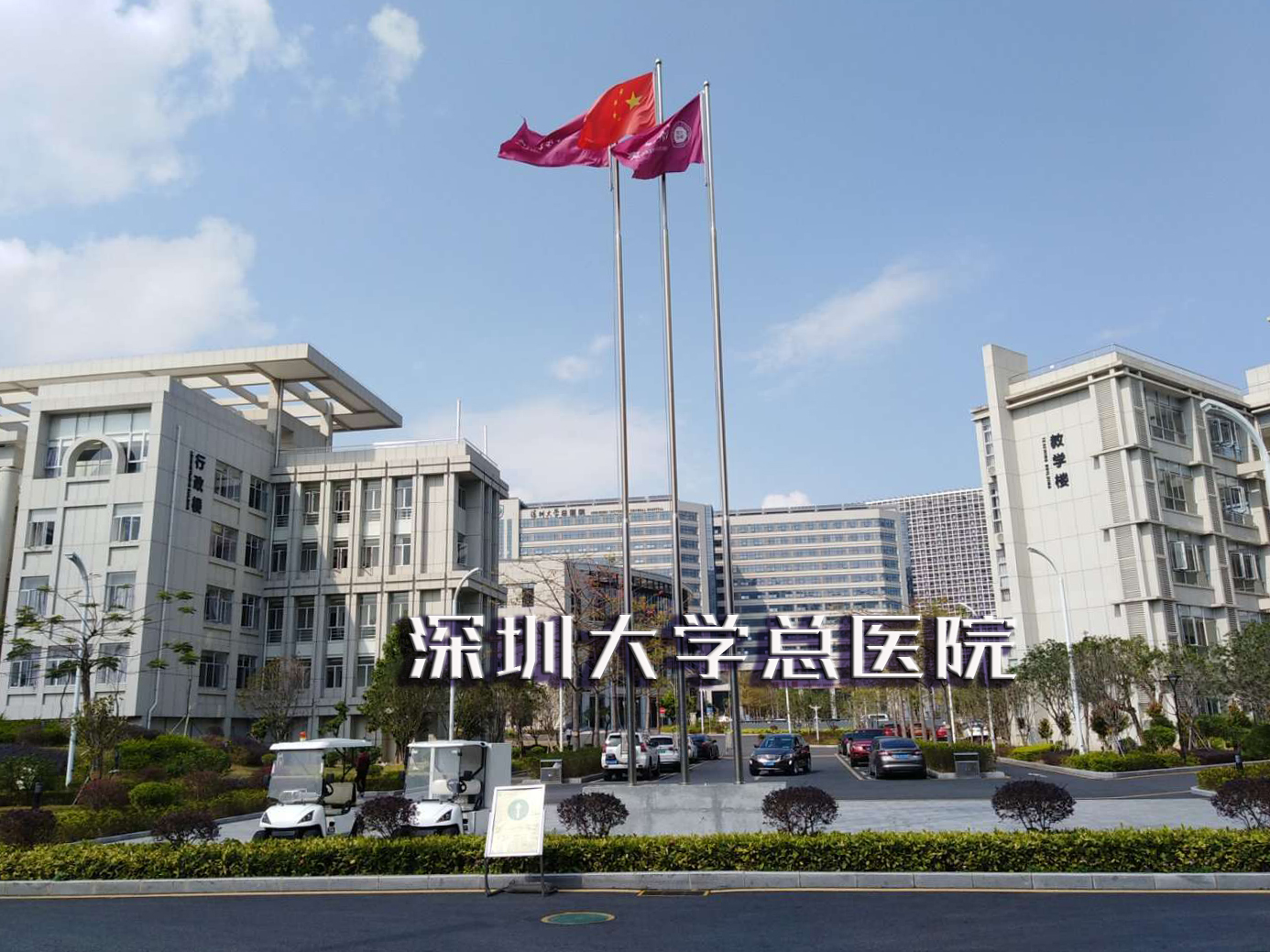 深圳大学总医院携手智善公益基金会千人救助计划盛大开启