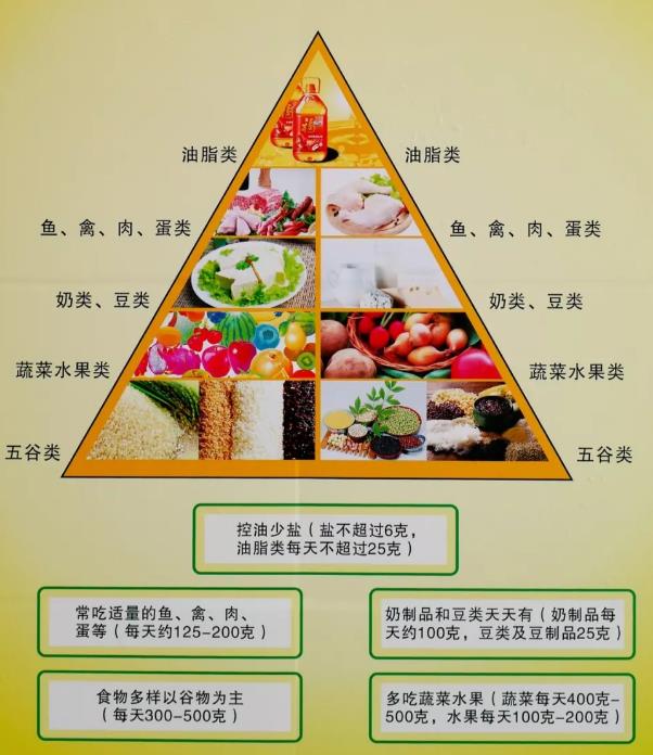 下图为国内外推崇的关于膳食纤维金字塔的结构,对我们每一天的日常