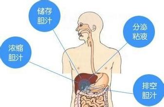 不痛的胆囊结石更可怕