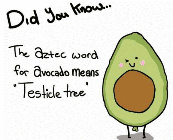 com_images_20180423_7e87d4611e214da9a2f7a8326dd8fbee.