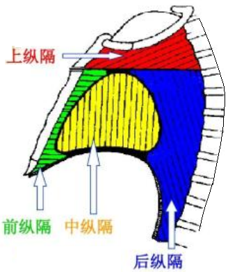 纵隔肿瘤是怎么回事?