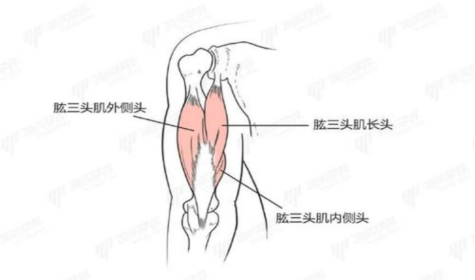 伸直外展疼痛不明显,松解右侧肱桡肌