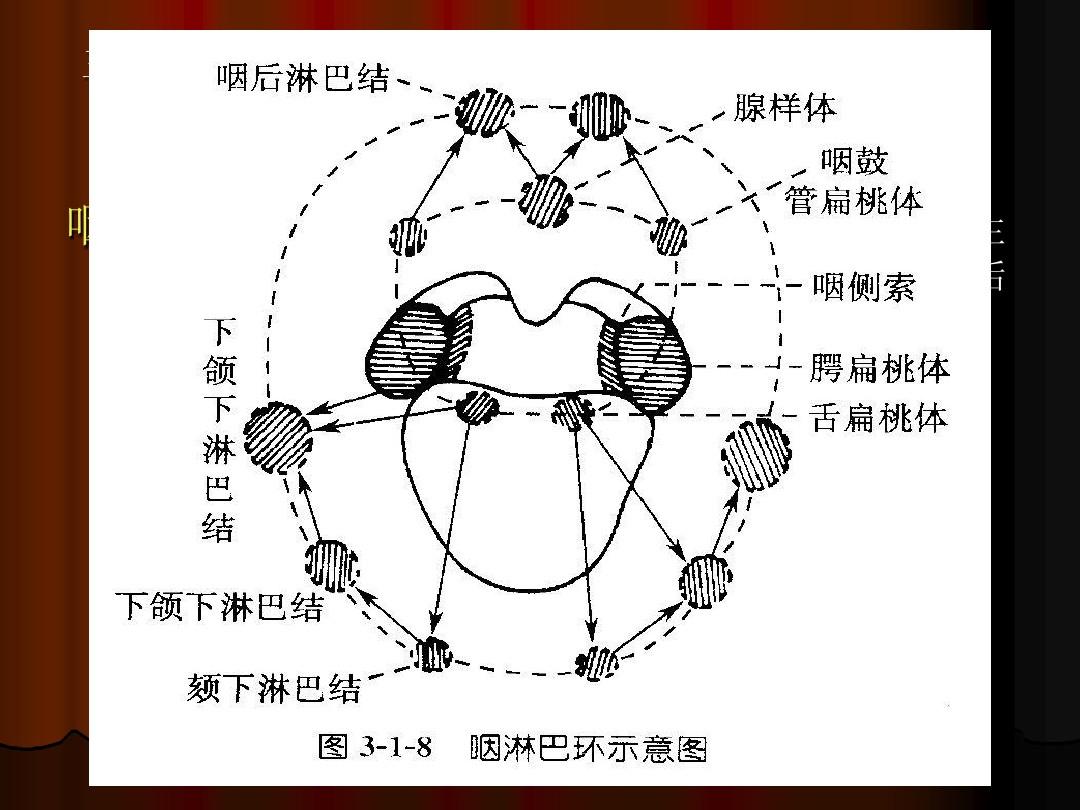 医生辟谣扁桃体切除会降低免疫力