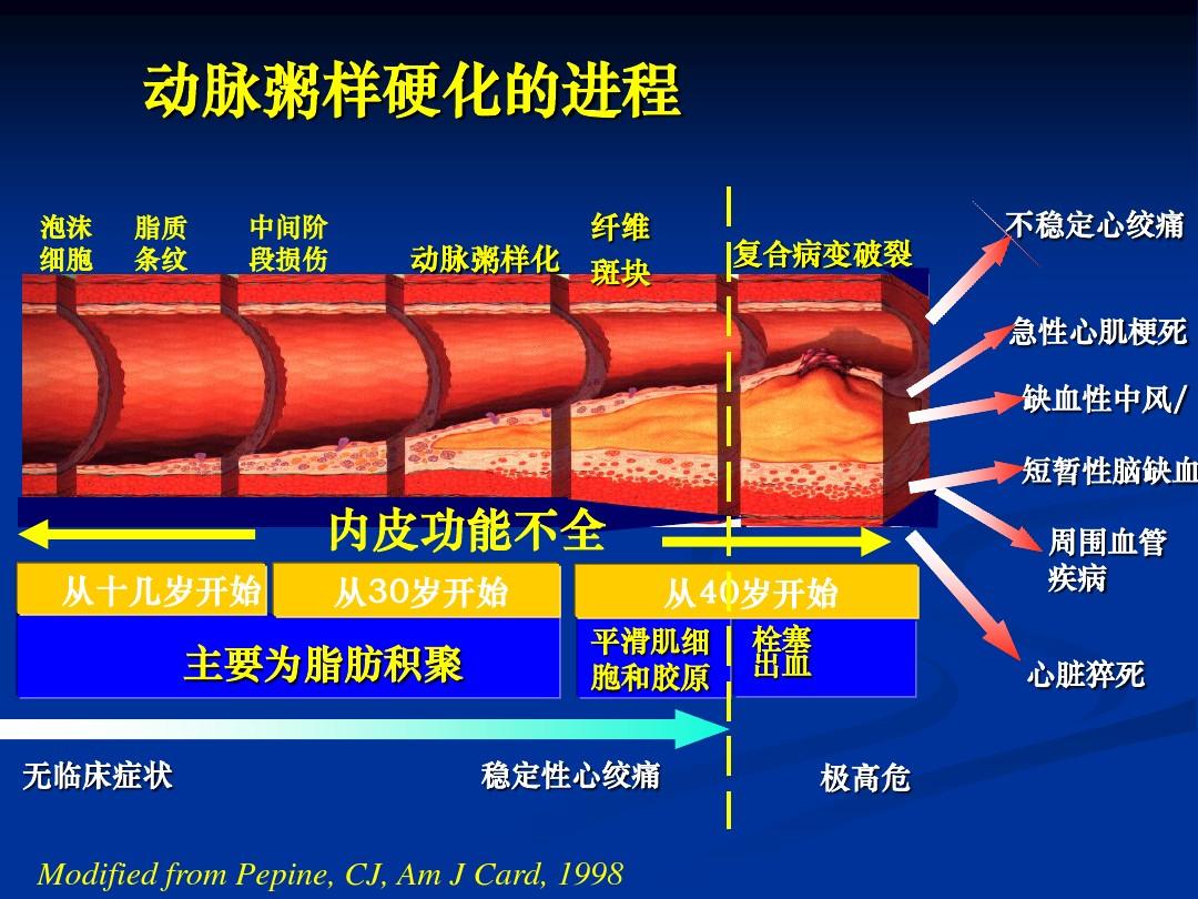 冠状动脉受累动脉粥样硬化是全身动脉均受累斑块形成是建立在动脉粥样