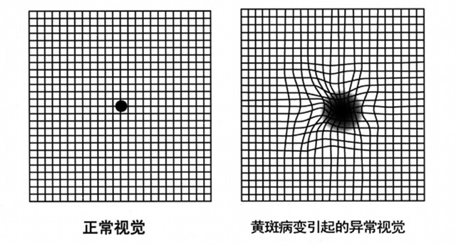 图片11.jpg