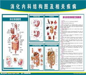 消化内科