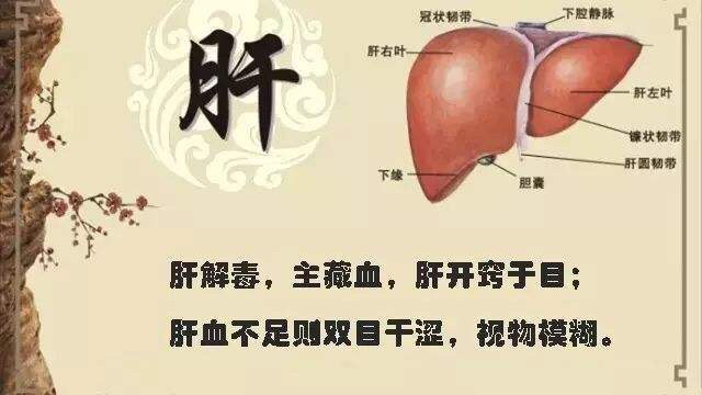 肝肾滋是真是假图片