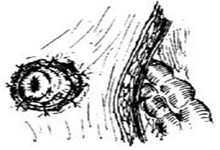 啥是回肠 JY160_20140901_1409530552.jpg