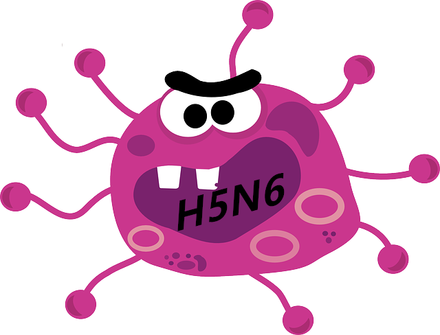 H5N6来袭!我们如何做好预防