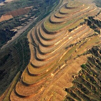 陕西十大美食