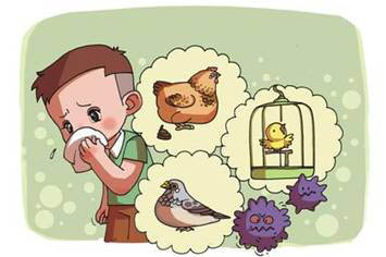 说说H5N6禽流感的前世今生