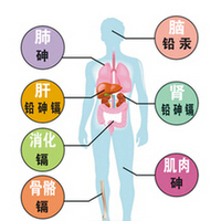 如何攻破食物中的重金属