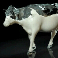哺乳动物都有奶 为啥我们只喝牛奶？