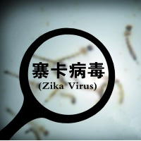 粤首次从临床标本“揪”出两株寨卡病毒