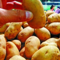 食药监总局：3月1日起 13类食用农产品禁售