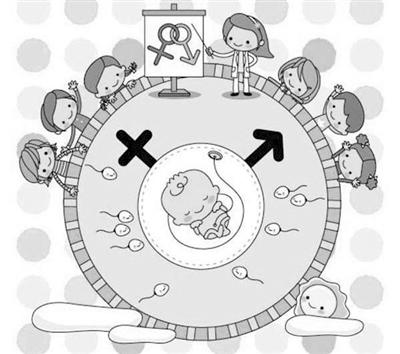 功能精子制造成功 未来生娃还需要男人吗？