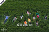 疫苗之殇：一针疫苗带来二十个家庭的支离破碎