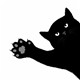 猫抓热：你跟喵星人都应该知道的几件事！