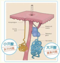 关于狐臭，你需要知道的几个问题都在这~