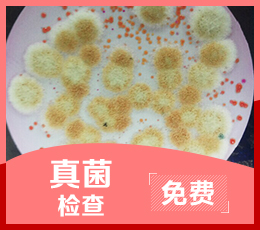 头屑多头皮痒，这个冬天多发的皮肤病该怎么解决~
