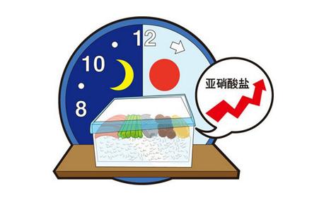 这五种隔夜菜吃了易致癌，打死也不能吃