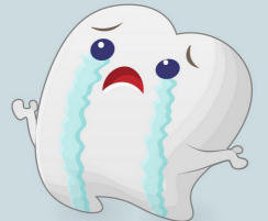 高水准的种牙直播，你所关心的都在这里…