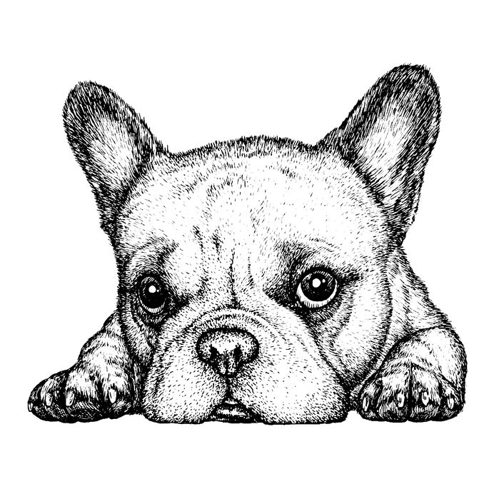 太久没性生活， “小蝌蚪们”过得怎么样？