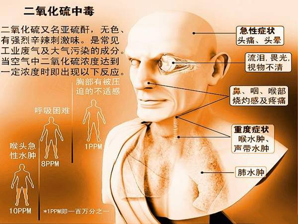 食物中二氧化硫超标,会对我们造成怎样的危害?