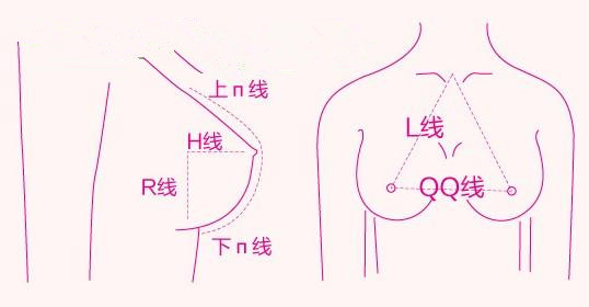 乳房形状那么多,最受欢迎的是哪种?