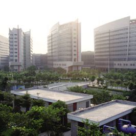 东莞市人民医院