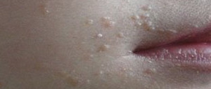 2012110611274818148.jpg