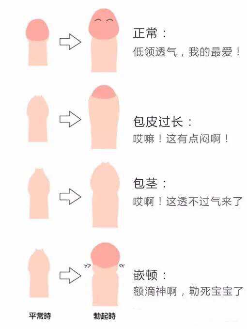 1506780831676.jpg