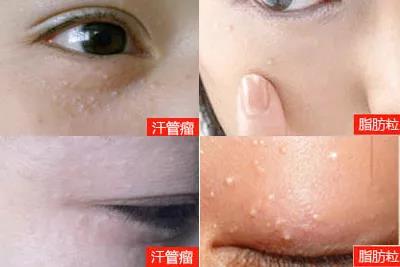 微信图片_20171205120551.jpg