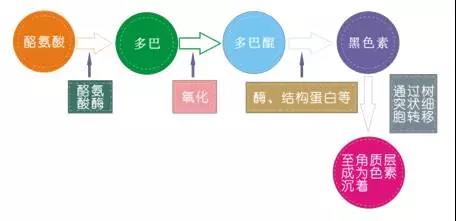 微信图片_20171229093608.jpg