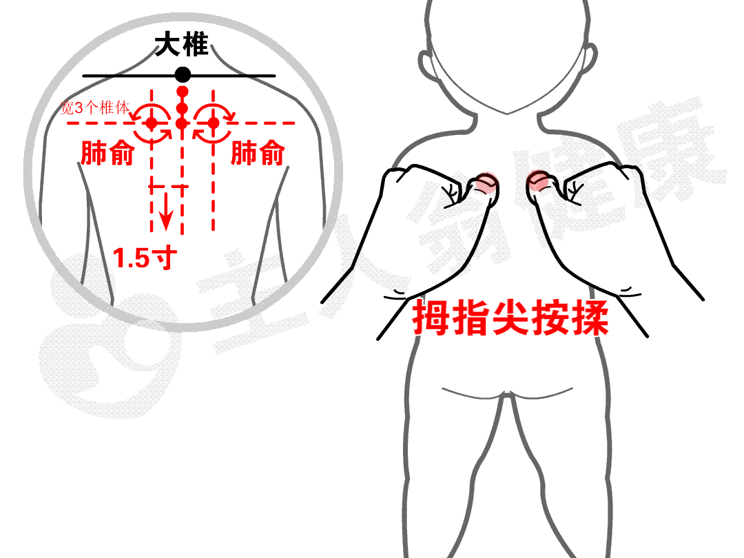 揉肺腧.gif