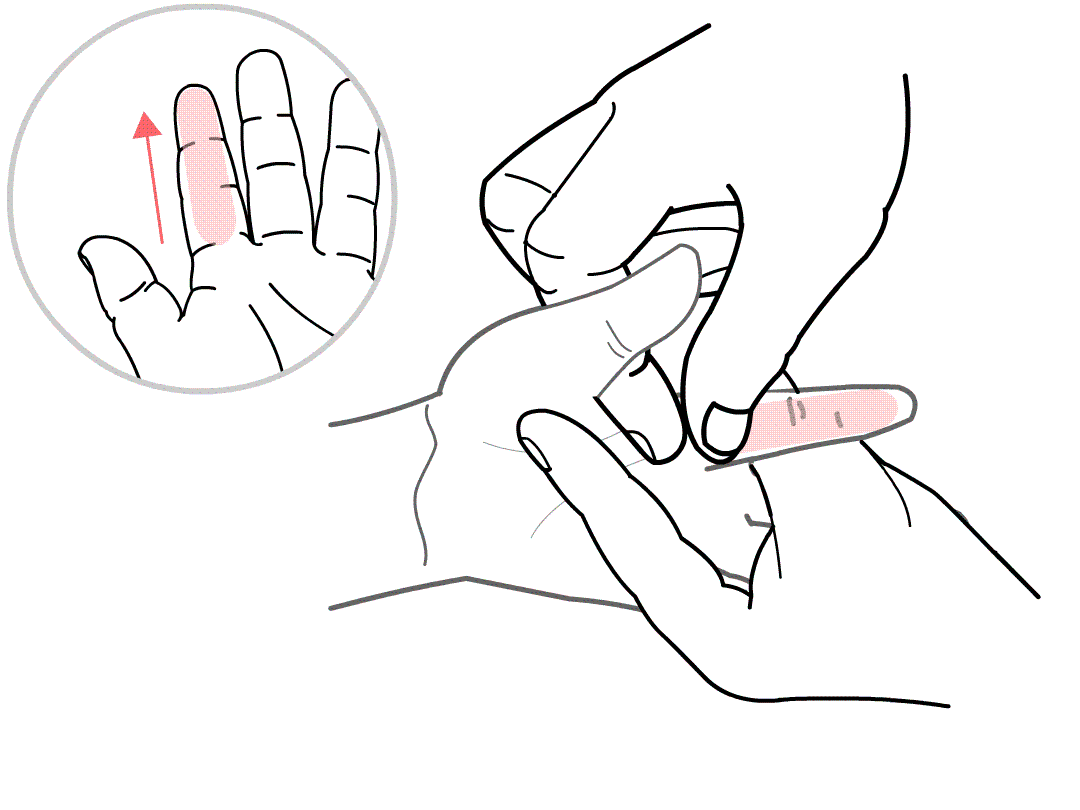 清肝经.gif